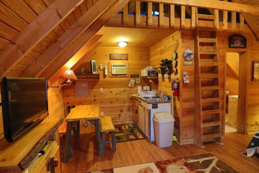 Cozy Cabin W/ Fireplace 3 Minutes To Helen! #2. エクステリア 写真
